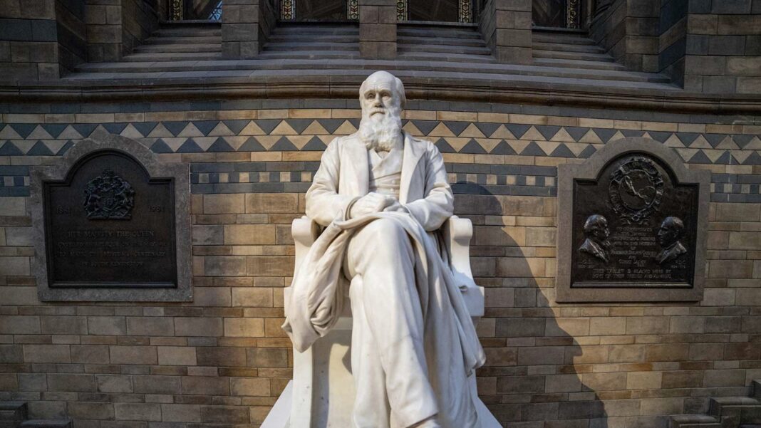 Charles Darwin, Evolution, Statue
