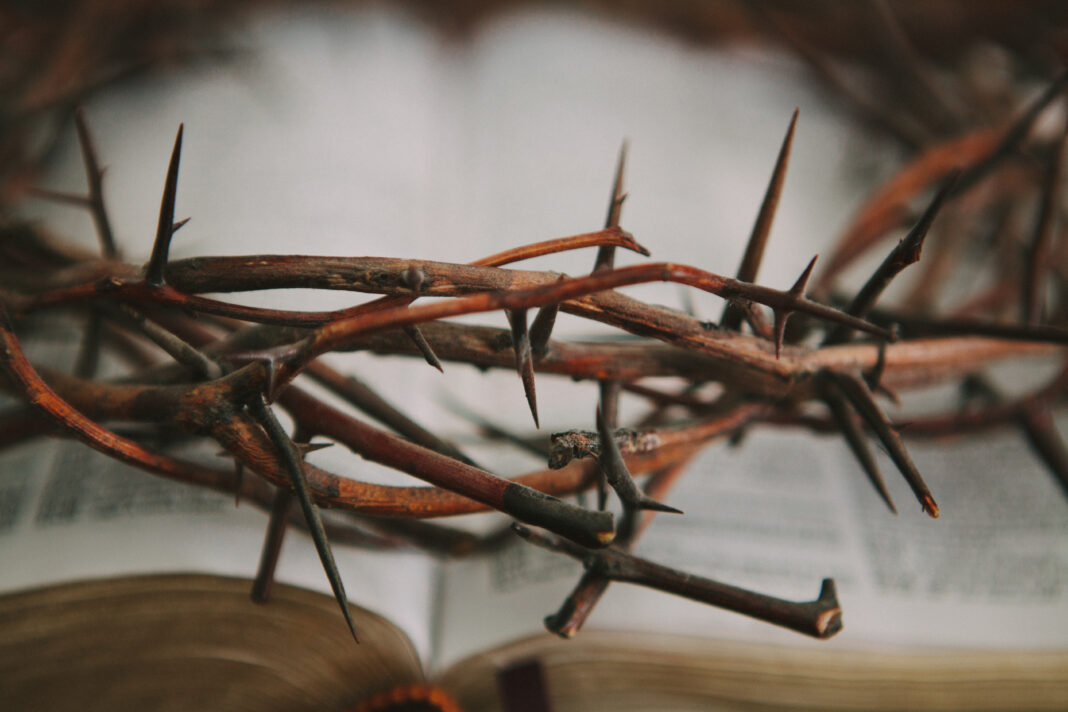 Crown of Thorns, Bible