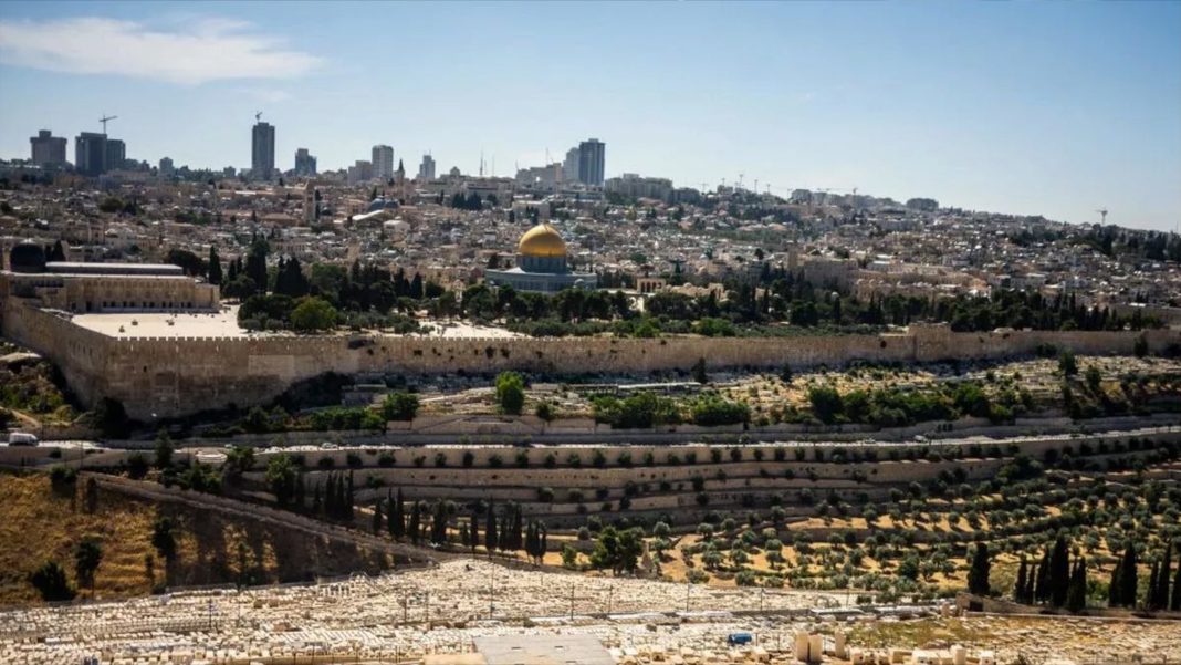 untitled artwork 1196