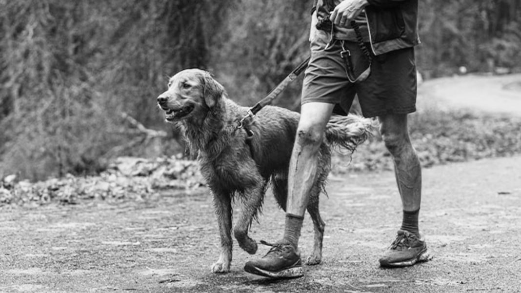 untitled artwork 9078