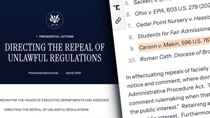 untitled artwork 9117