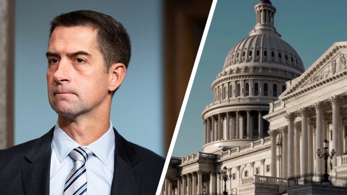 Tom Cotton, Senate, Congress
