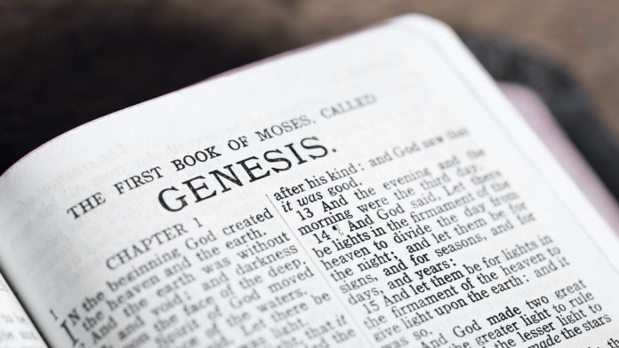 genesis bible verse