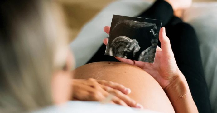 pregnancy, abortion, baby