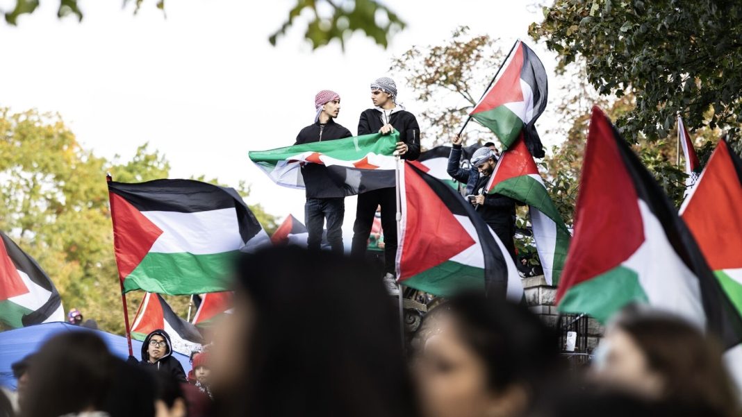 6536bb162617c.image 2