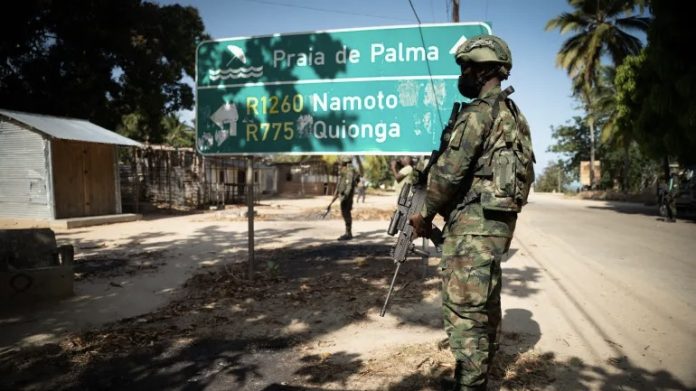 e9babfe0 8769 4fc6 ac67 b9cbac90878b 1 201 a