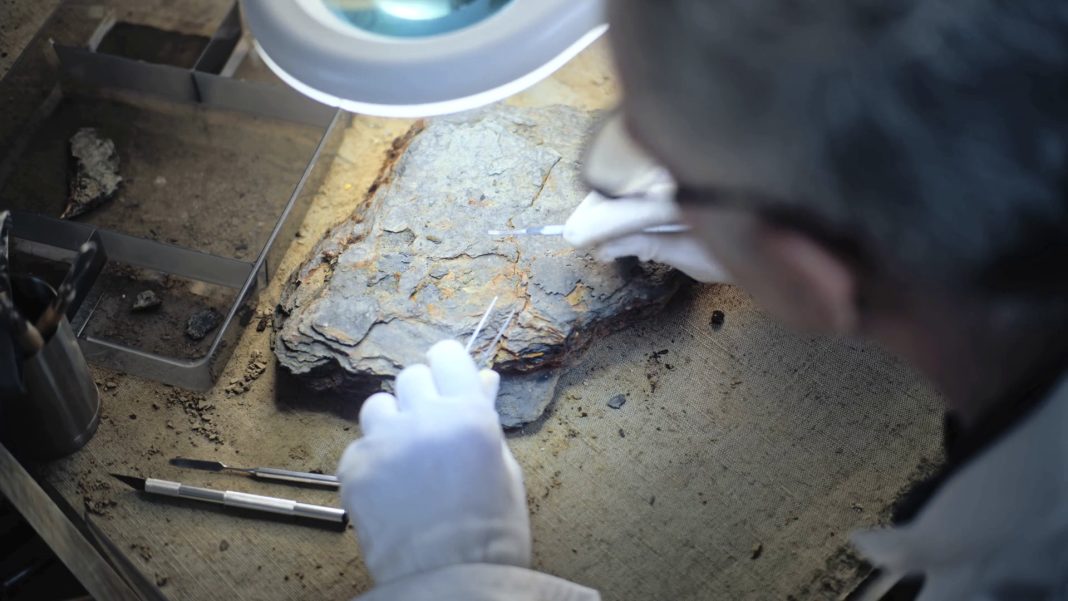 66c246fc8ff1d34e34268921 kexkfnyrx thumbnail 1080 01