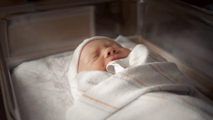 newborn baby swaddled and laying in hospital bassinet sleeping with beanie on 1 1024x683