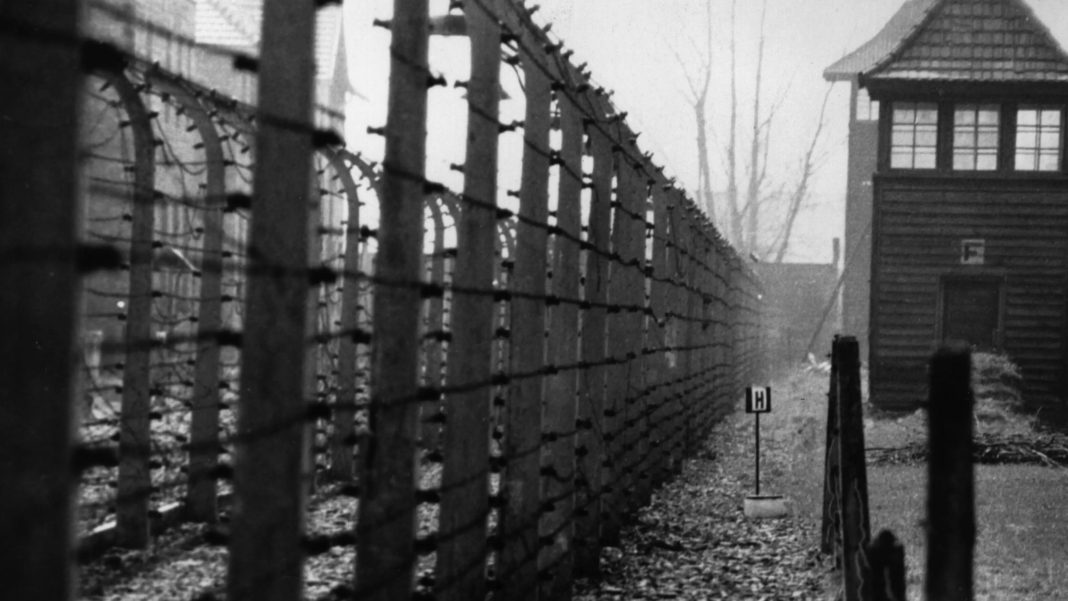 auschwitz