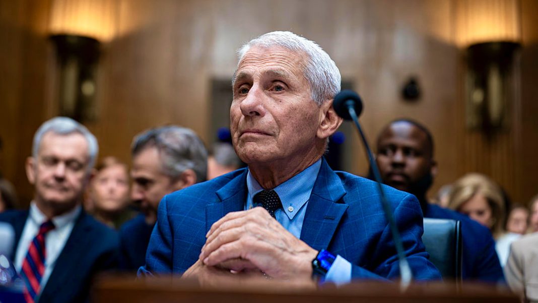 fifth amendment fauci rand paul senate hearing