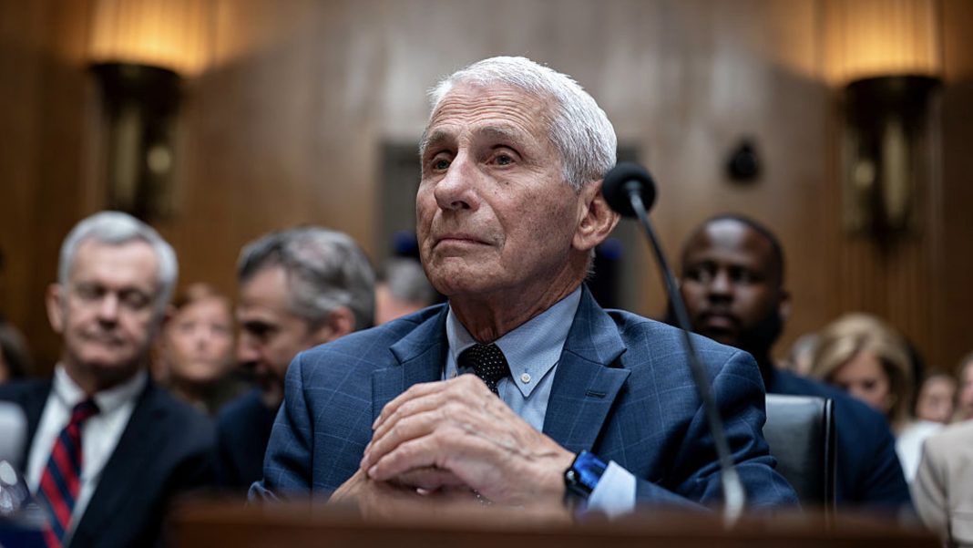 fifth amendment fauci rand paul senate hearing 2